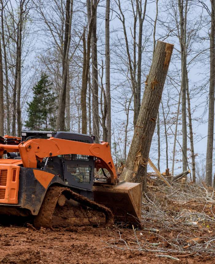 Professional lot clearing equipment on site