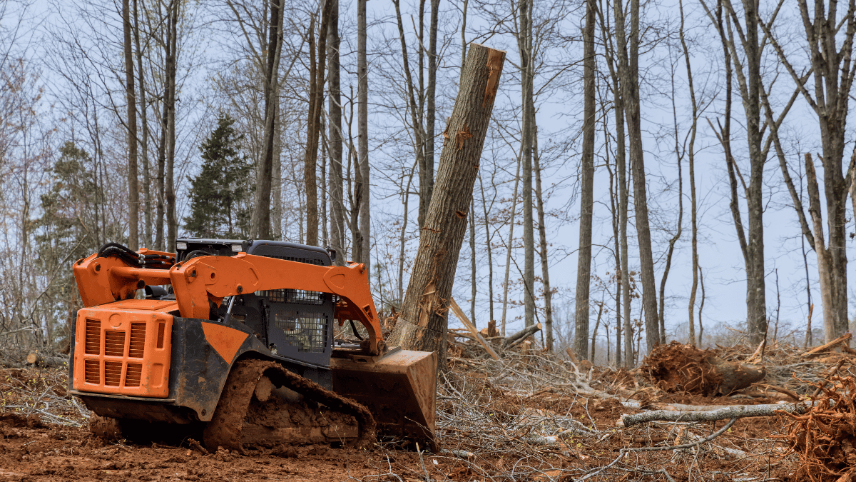 Lot clearing services